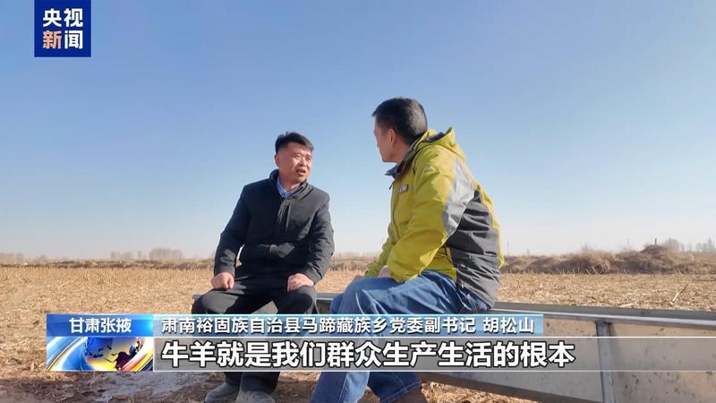  新春走基层丨下山借牧还交上了朋友 这趟“冬牧”值了 新闻