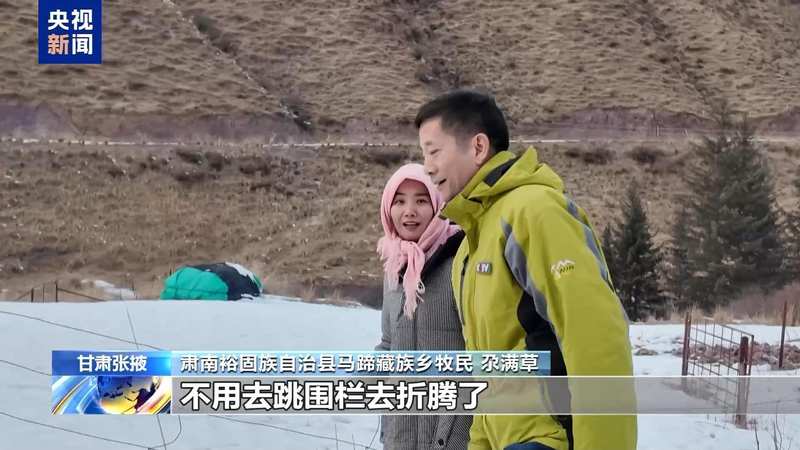  新春走基层丨下山借牧还交上了朋友 这趟“冬牧”值了 新闻