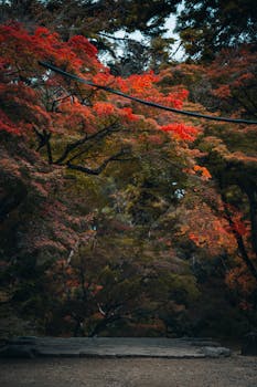 1023家公司公布业绩快报：57百分号去年净利润增长 新闻