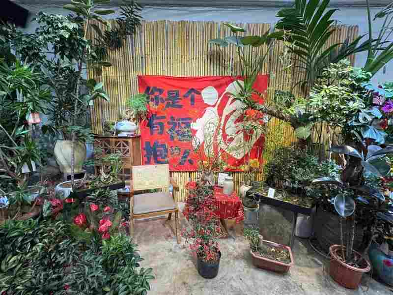  年宵花市热闹非凡，鲜花消费渐入佳境 股票财经 年宵花市热闹非凡，鲜花消费渐入佳境 股票财经 年宵花市热闹非凡，鲜花消费渐入佳境 股票财经 年宵花市热闹非凡，鲜花消费渐入佳境 股票财经