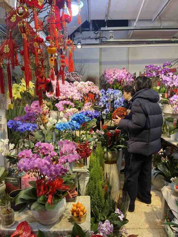  年宵花市热闹非凡，鲜花消费渐入佳境 股票财经 年宵花市热闹非凡，鲜花消费渐入佳境 股票财经 年宵花市热闹非凡，鲜花消费渐入佳境 股票财经 年宵花市热闹非凡，鲜花消费渐入佳境 股票财经