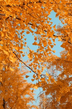  直播间金银锁价遇冷，涨跌双向违约如何破局。 新闻 直播间金银锁价遇冷，涨跌双向违约如何破局。 新闻 直播间金银锁价遇冷，涨跌双向违约如何破局。 新闻 直播间金银锁价遇冷，涨跌双向违约如何破局。 新闻