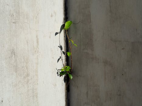  富德生命人寿摘得金石奖桂冠；直赔服务创新升级，出院结算零负担。 新闻 富德生命人寿摘得金石奖桂冠；直赔服务创新升级，出院结算零负担。 新闻