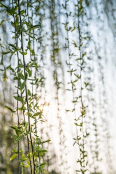  田间地头涌动科技浪潮；智慧春耕绘就丰收新景。 新闻 田间地头涌动科技浪潮；智慧春耕绘就丰收新景。 新闻 田间地头涌动科技浪潮；智慧春耕绘就丰收新景。 新闻