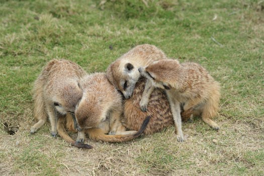  奥维通信深陷信披违规风波，证监会正式立案调查；股票已触及市值退市红线。 股票财经 奥维通信深陷信披违规风波，证监会正式立案调查；股票已触及市值退市红线。 股票财经