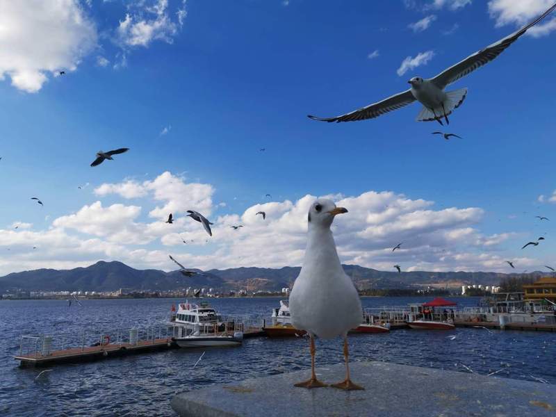  抛弃规模崇拜：万亿GDP指标之外的技术创新底层逻辑 IT技术