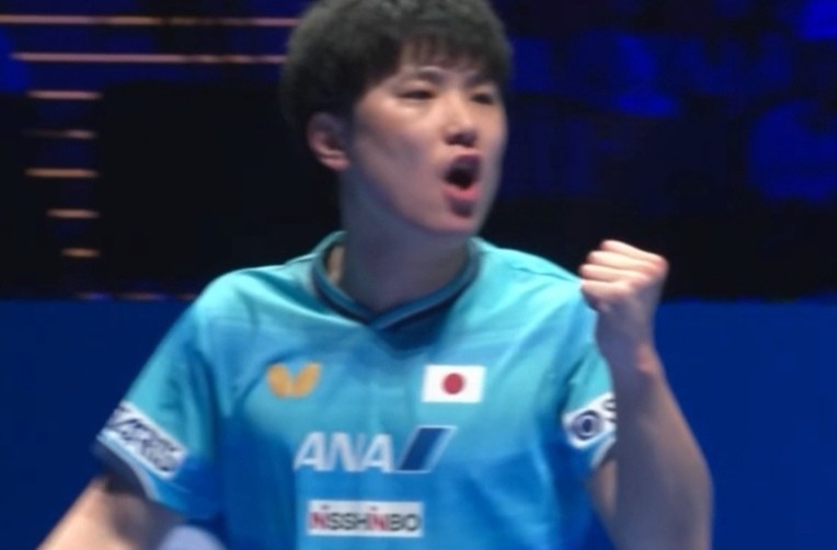  战术迭代深度复盘：林昀儒四步拆解张本智和战术体系 体育新闻