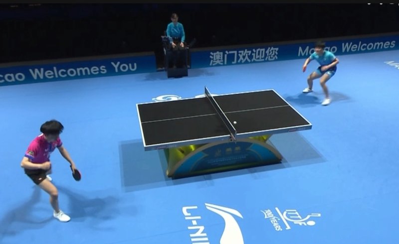  战术迭代深度复盘：林昀儒四步拆解张本智和战术体系 体育新闻