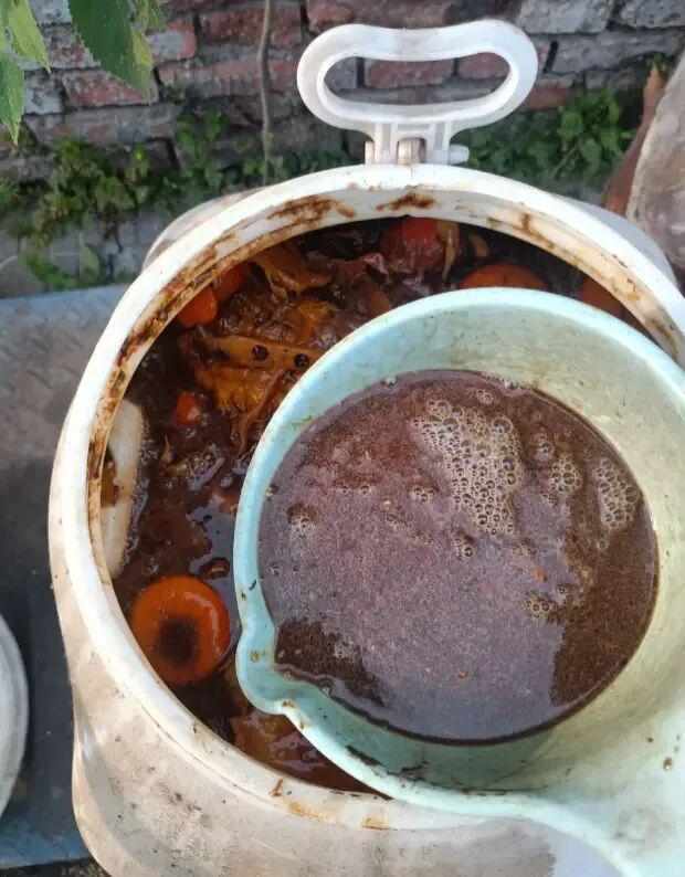  肥水循环系统的技术拆解：让盆栽开花量实现指数级增长的底层逻辑 新闻