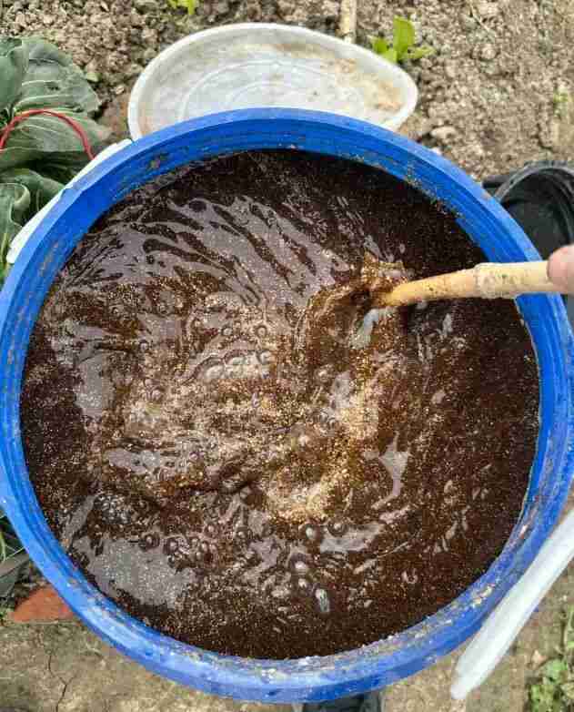  肥水循环系统的技术拆解：让盆栽开花量实现指数级增长的底层逻辑 新闻