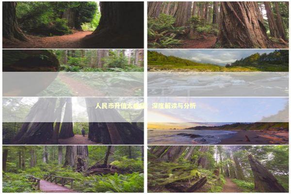 人民币升值太疯狂：深度解读与分析 新闻