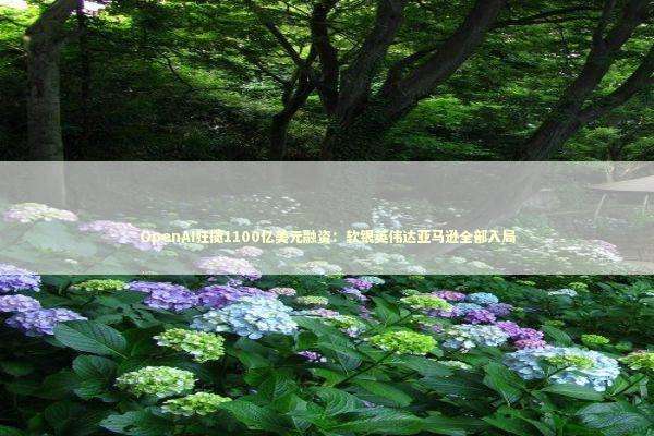 OpenAI狂揽1100亿美元融资：软银英伟达亚马逊全部入局