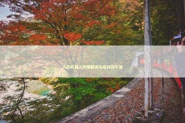 人形机器人抒情解读从炫技到干活 新闻