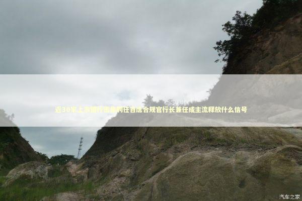 近30家上市银行密集聘任首席合规官行长兼任成主流释放什么信号 新闻