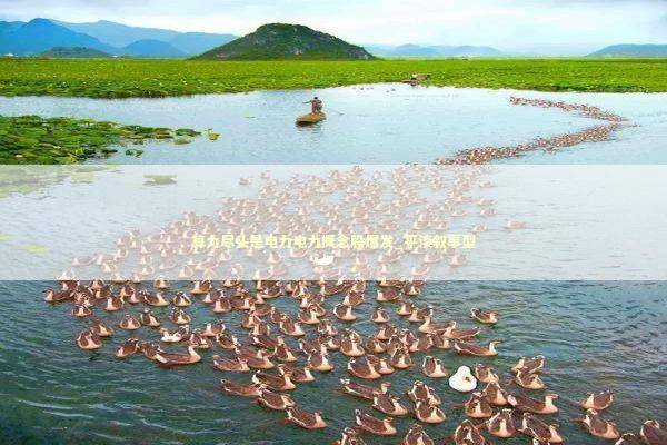 算力尽头是电力电力概念股爆发_平淡叙事型 新闻