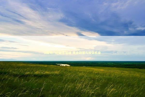 A股开门红能否延续 两会政策与投资机会