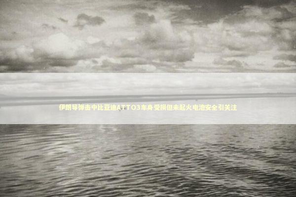 伊朗导弹击中比亚迪ATTO3车身受损但未起火电池安全引关注