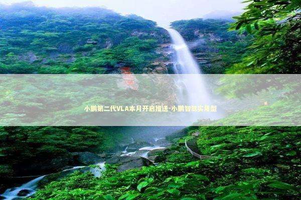 小鹏第二代VLA本月开启推送-小鹏智驾实用型 新闻