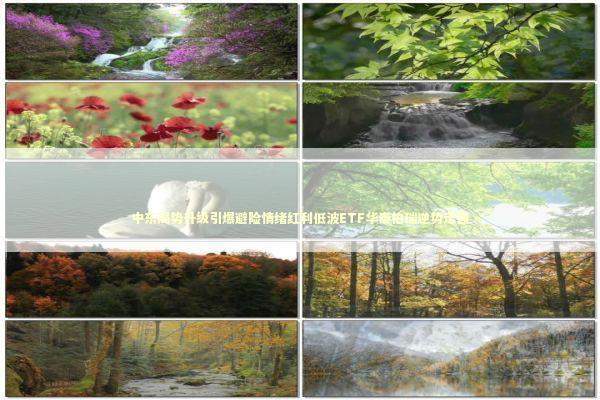 中东局势升级引爆避险情绪红利低波ETF华泰柏瑞逆势走强 新闻