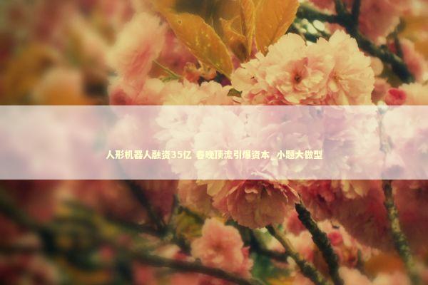 人形机器人融资35亿 春晚顶流引爆资本_小题大做型 新闻