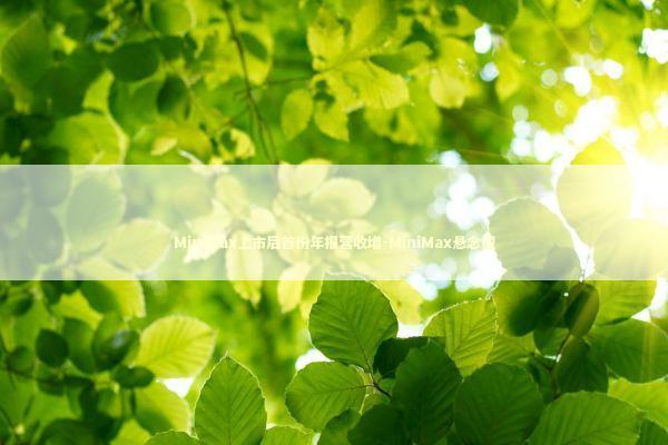 MiniMax上市后首份年报营收增-MiniMax悬念型