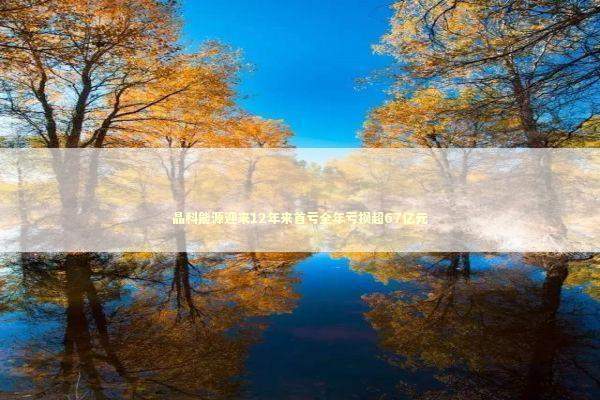 晶科能源迎来12年来首亏全年亏损超67亿元 新闻