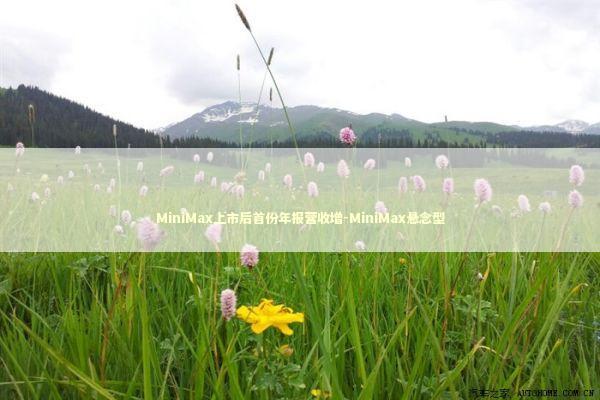 MiniMax上市后首份年报营收增-MiniMax悬念型