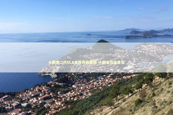 小鹏第二代VLA本月开启推送-小鹏智驾实用型 新闻