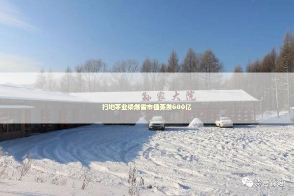 扫地茅业绩爆雷市值蒸发600亿 新闻