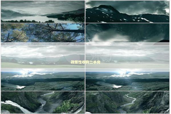 政策性收购二手房 新闻