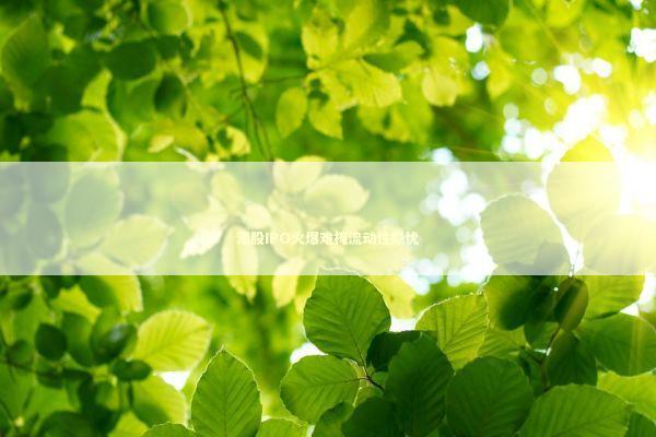 港股IPO火爆难掩流动性隐忧 新闻