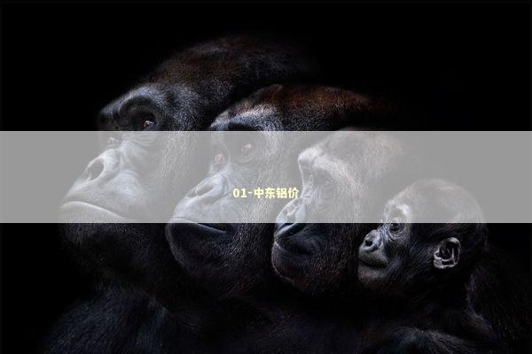 01-中东铝价 新闻