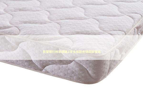 民营银行利率跌破2字头存款市场迎新变局 新闻