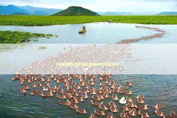 科创板融资数据深度解读与投资分析