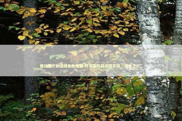 推动医疗制造绿色化发展 可孚医疗获评国家级“绿色工厂” 新闻