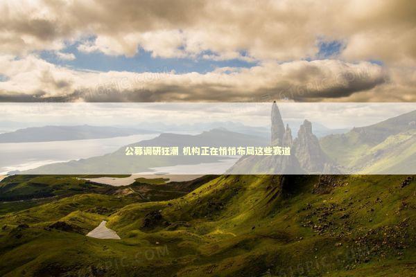 公募调研狂潮 机构正在悄悄布局这些赛道