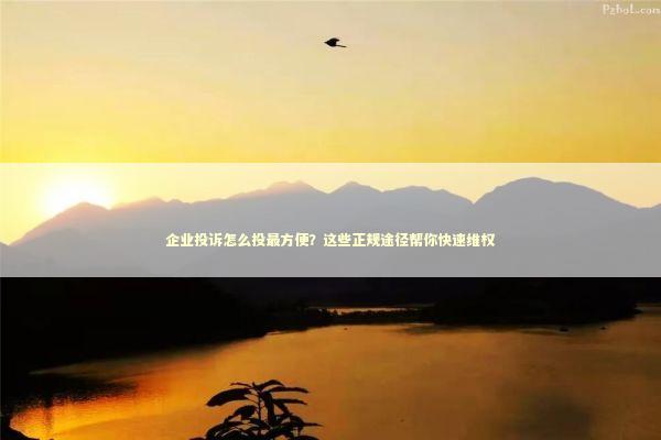 企业投诉怎么投最方便？这些正规途径帮你快速维权 新闻