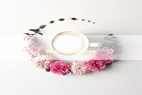 默茨访华大合影，哪些中德企业出镜？