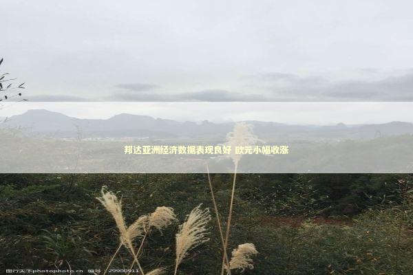 邦达亚洲经济数据表现良好 欧元小幅收涨 新闻