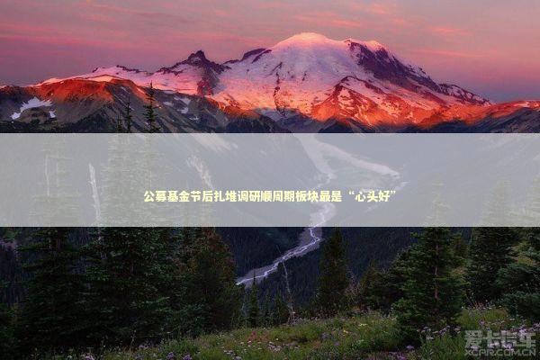 公募基金节后扎堆调研顺周期板块最是“心头好” 新闻