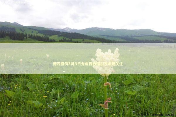 德石股份3月3日龙虎榜数据引发市场关注 新闻