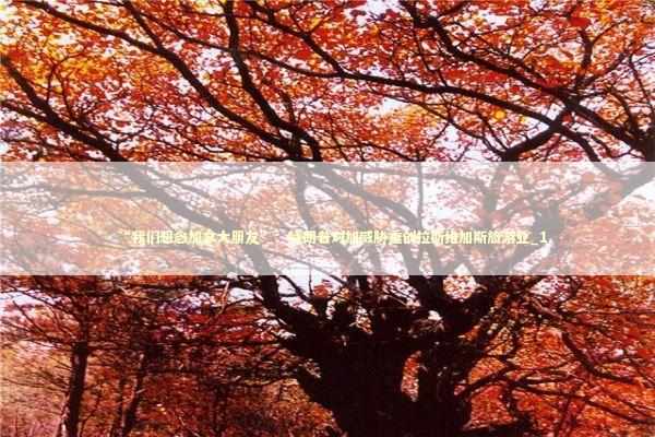 “我们想念加拿大朋友”：特朗普对加威胁重创拉斯维加斯旅游业_1 新闻