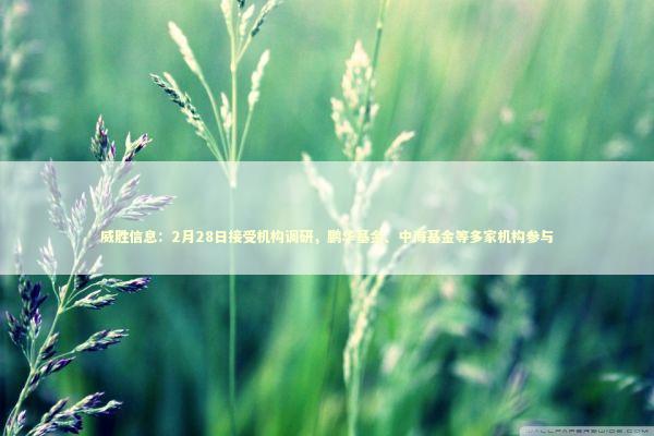 威胜信息：2月28日接受机构调研，鹏华基金、中海基金等多家机构参与 新闻