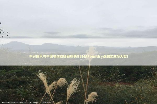 中兴通讯与中国电信双提案斩获GSMAFoundry卓越奖三项大奖！