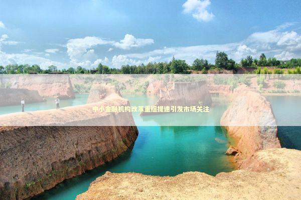 中小金融机构改革重组提速引发市场关注 新闻