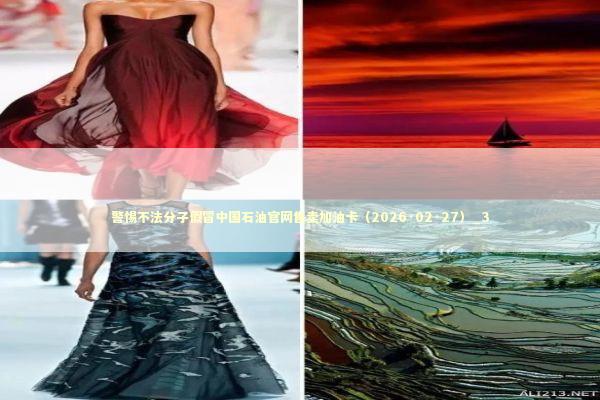 警惕不法分子假冒中国石油官网售卖加油卡（2026·02·27）_3 新闻