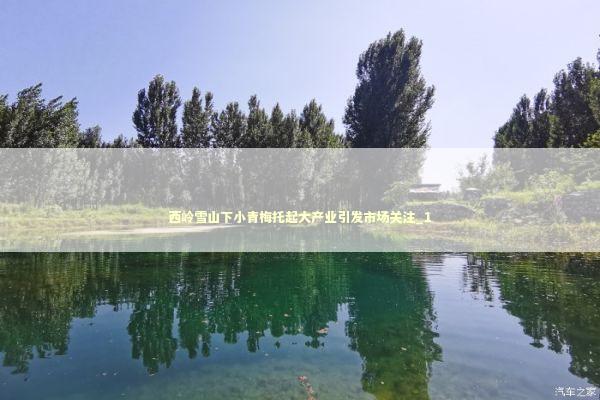 西岭雪山下小青梅托起大产业引发市场关注_1 新闻