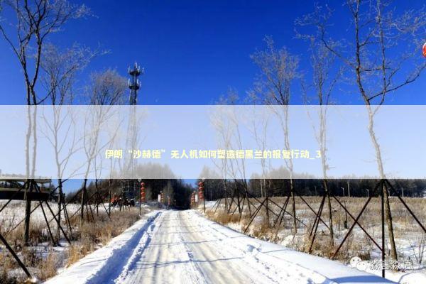 伊朗“沙赫德”无人机如何塑造德黑兰的报复行动_3 新闻