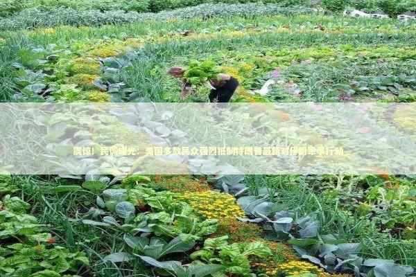 震惊！民调曝光：美国多数民众强烈抵制特朗普最新对伊朗军事行动 新闻