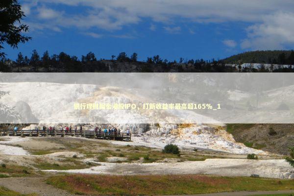 银行理财掘金港股IPO，打新收益率最高超165%_1